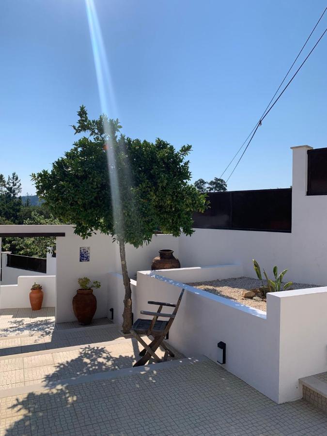 Bed and Breakfast Casa Da Oliveira Pedrogao Grande Exterior foto
