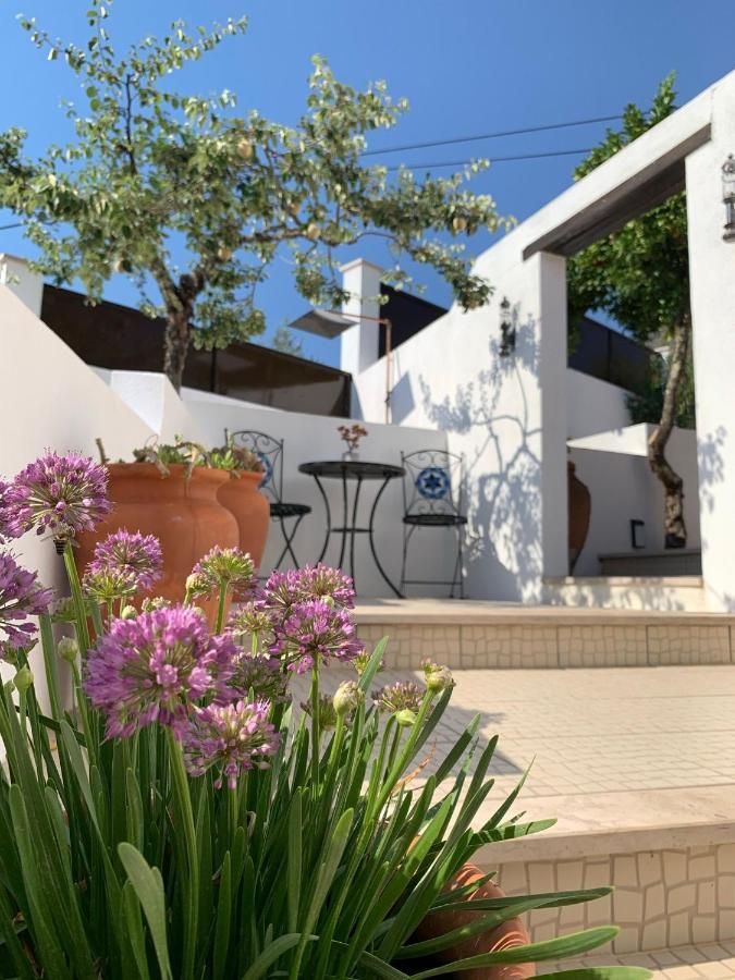 Bed and Breakfast Casa Da Oliveira Pedrogao Grande Exterior foto