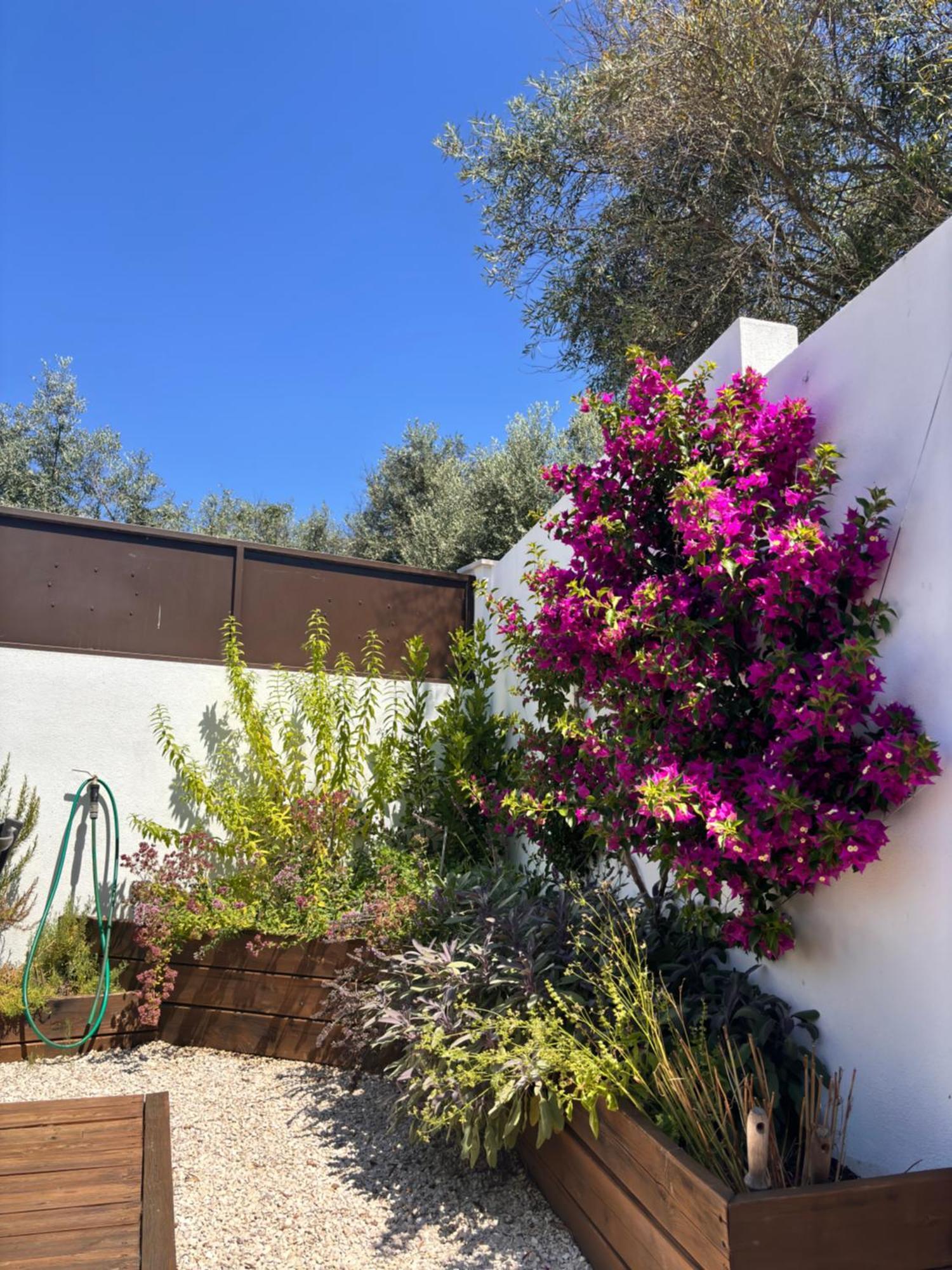 Bed and Breakfast Casa Da Oliveira Pedrogao Grande Exterior foto